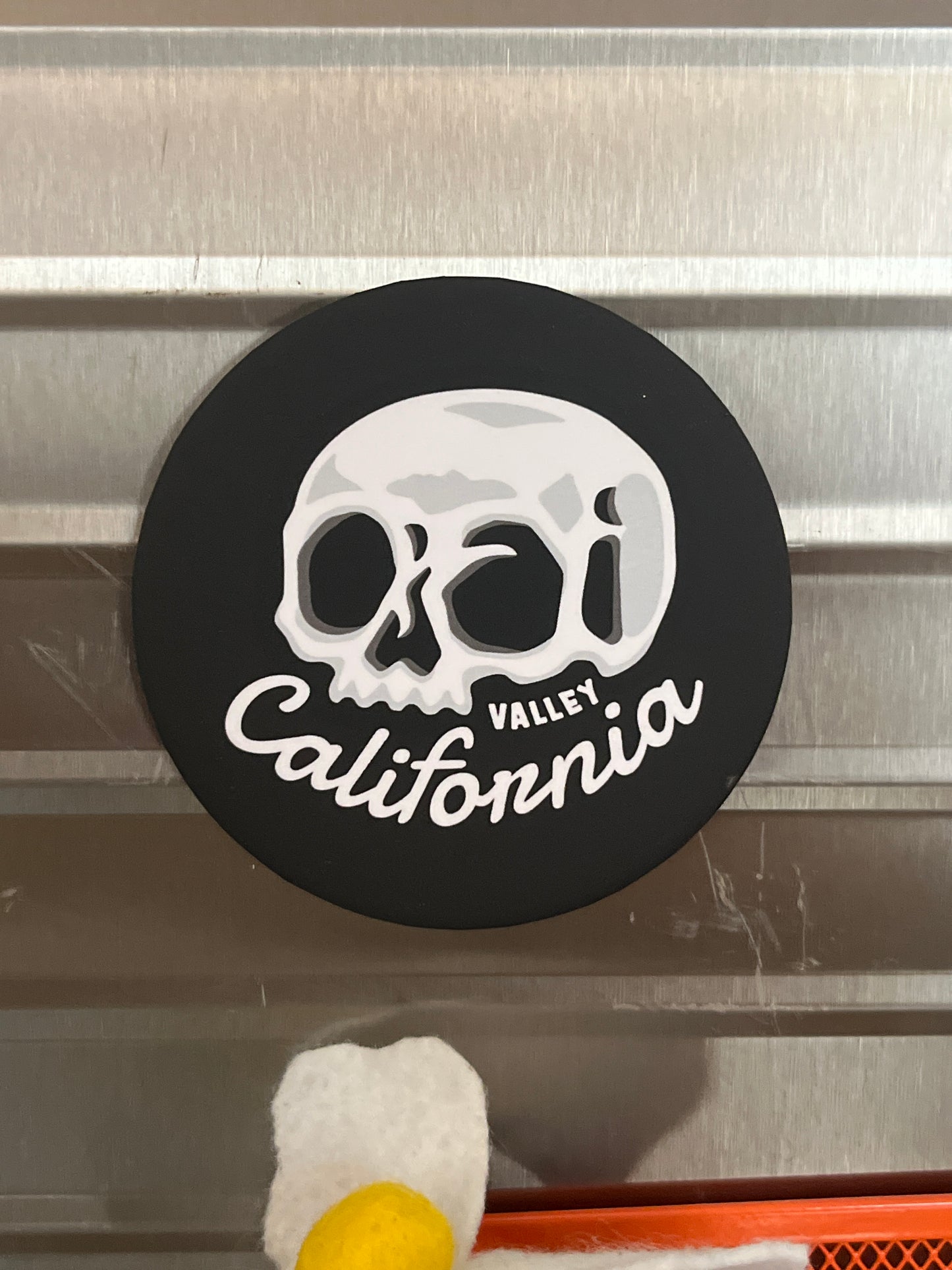 Ojai Skull Magnet